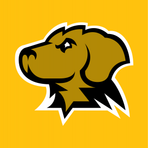 UMBC Retriever head in color for use on gold