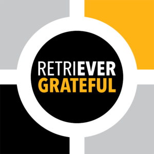 Retriever Grateful Square Graphic