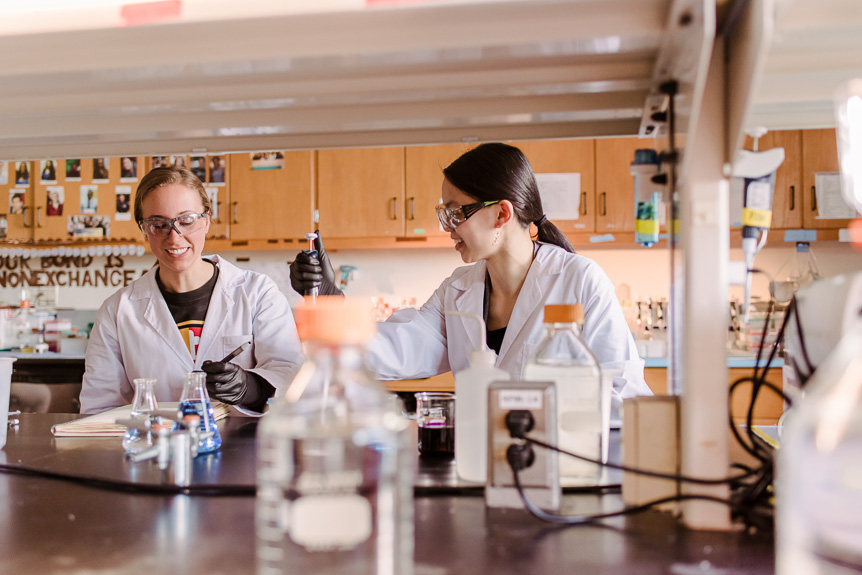 Sample image - Two UMBC students work together in lab