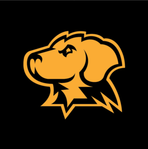 An all-gold version of the retriever head on black